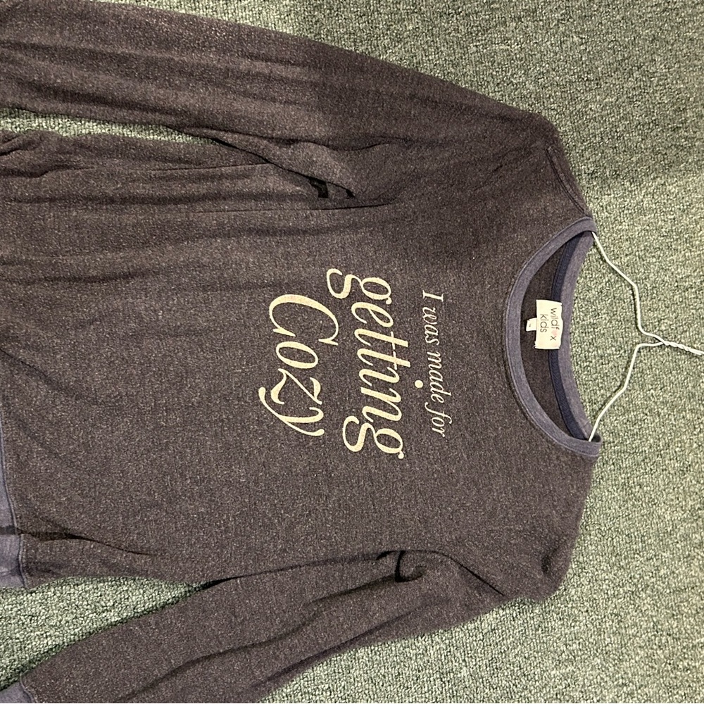 Wildfox sweater